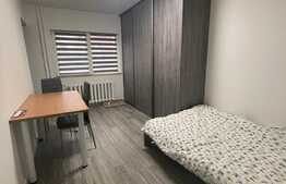 Garsoniera, 24 mp, recent renovata, zona strazii Cernei