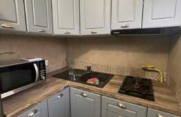 Garsoniera, 24 mp, recent renovata, zona strazii Cernei