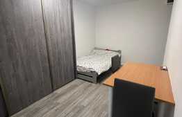 Garsoniera, 24 mp, recent renovata, zona strazii Cernei