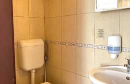 Casa individuala, 140 mp, curte, terasa, parcare, zona Hotel Ramada