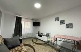 1 camera, decomandat, 27 mp, zona Traian Vuia