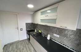 1 camera, decomandat, 27 mp, zona Traian Vuia