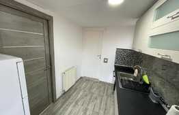 1 camera, decomandat, 27 mp, zona Traian Vuia