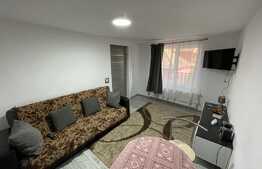 1 camera, decomandat, 27 mp, zona Traian Vuia