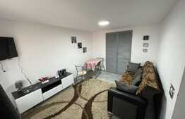 1 camera, decomandat, 27 mp, zona Traian Vuia