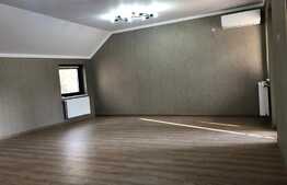 Casa pretabila pentru o firma, totul nou, zona The Office