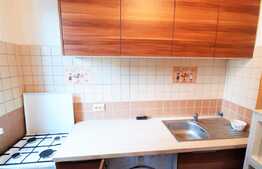 1 camera, 25 mp, Pet Friendly, zona strazii Septimiu Albinii