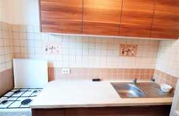 1 camera, 25 mp, Pet Friendly, zona strazii Septimiu Albinii