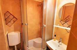 1 camera, 25 mp, Pet Friendly, zona strazii Septimiu Albinii