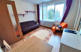 1 camera, 25 mp, Pet Friendly, zona strazii Septimiu Albinii