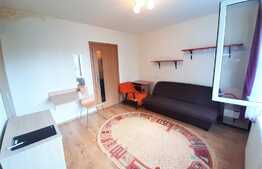 1 camera, 25 mp, Pet Friendly, zona strazii Septimiu Albinii