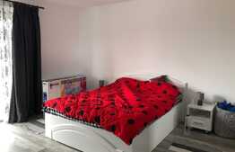 Garsoniera mobilata si utilata de 44 mp