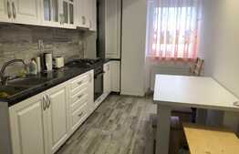 Garsoniera mobilata si utilata de 44 mp