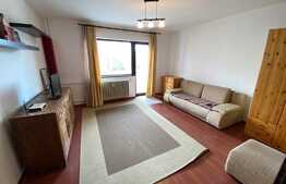 2 camere, 55 mp, pet friendly, semidecomandat, zona Minerva