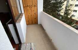 2 camere, 55 mp, pet friendly, semidecomandat, zona Minerva