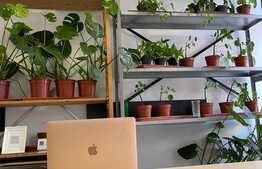 Esti in cautarea unui spatiu pentru un birou in zona centrala? AI gasit ceea ce cautai!