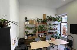 Esti in cautarea unui spatiu pentru un birou in zona centrala? AI gasit ceea ce cautai!