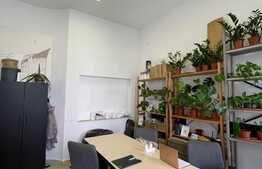 Esti in cautarea unui spatiu pentru un birou in zona centrala? AI gasit ceea ce cautai!