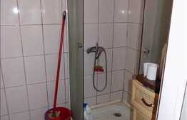 Garsoniera  14,7 mp, mobilata, zona strazii Campului!