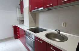 Apartament de inchiriat cu o camera, 40 mp, zona Piata Flora