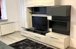 Apartament 1 camera, 28 mp, zona strazii Bucuresti