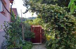 Vand casa in zona Schei, Brasov