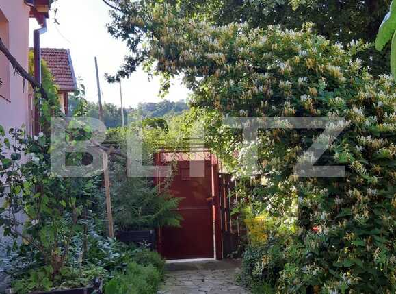 Casa de vânzare 4 camere Schei - 63684CV | BLITZ Brașov | Poza4