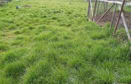 Casa cuplata 80 mp utili, 670 mp teren, CF, utilitati!