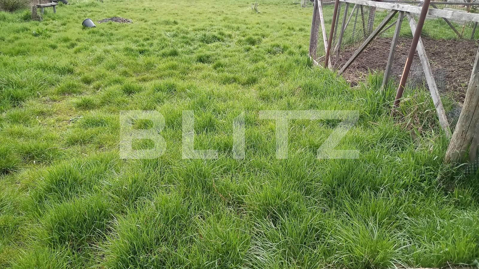 Casa de vânzare 2 camere Apahida - 63690CV | BLITZ Cluj-Napoca | Poza7