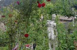 Proprietate deosebita, Schei Brasov