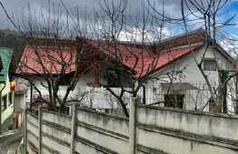 Proprietate deosebita, Schei Brasov