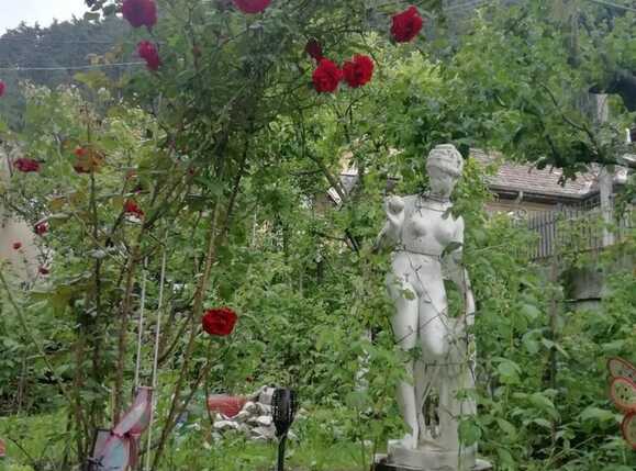 Casa de vânzare 5 camere Schei - 63707CV | BLITZ Brașov | Poza5