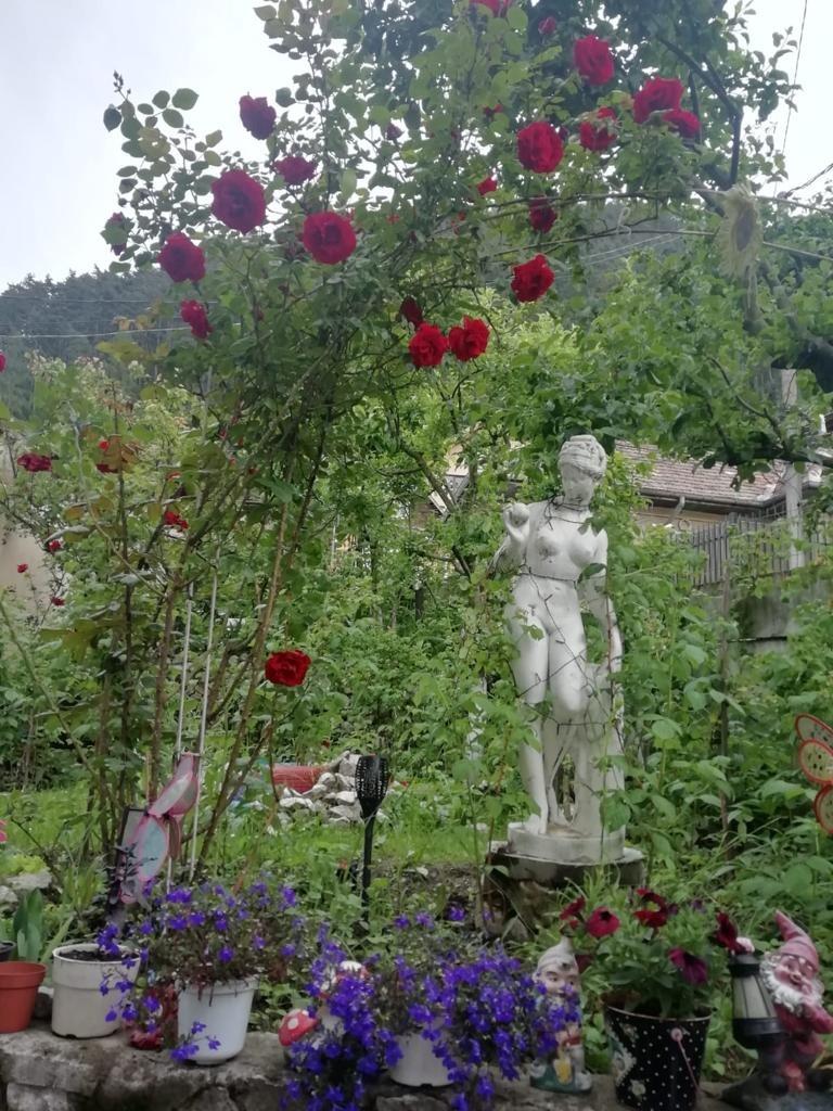 Casa de vânzare 5 camere Schei - 63707CV | BLITZ Brașov | Poza5