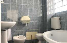 Duplex 600 mp, teren 2400 mp, 10 parcari, zona Grand Hotel Italia