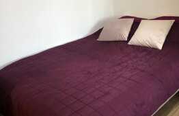 Apartament de inchiriat cu o camera, 30 mp, zona UMF