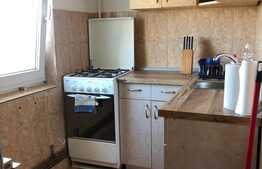 Apartament de inchiriat cu o camera, 30 mp, zona UMF