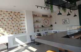 Spatiu comercial, 70 mp, vitrina la strada, zona The OFFICE