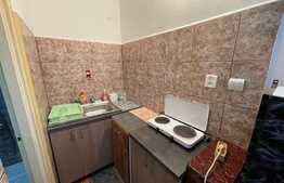 Apartament cu 1 camera, semidecomandat, 19mp, zona Traian Vuia