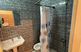 Apartament cu 1 camera, semidecomandat, 19mp, zona Traian Vuia