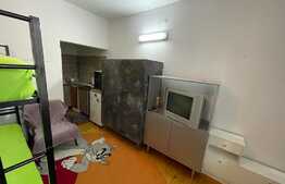 Apartament cu 1 camera, semidecomandat, 19mp, zona Traian Vuia