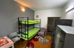 Apartament cu 1 camera, semidecomandat, 19mp, zona Traian Vuia