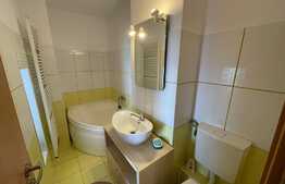 2 camere, 58 mp, decomandat, Pet-Friendly, zona The Office