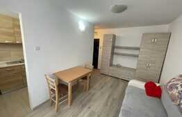 Apartament de 1 camera, 30 mp, zona Big