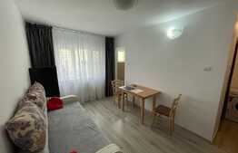 Apartament de 1 camera, 30 mp, zona Big