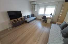 Apartament elegant cu o camera, Pet Friendly, 42 mp, zona Interservisan, Gheorgheni