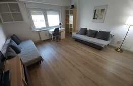 Apartament elegant cu o camera, Pet Friendly, 42 mp, zona Interservisan, Gheorgheni