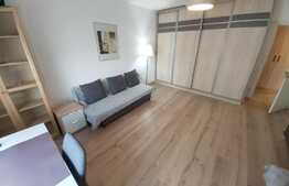 Apartament elegant cu o camera, Pet Friendly, 42 mp, zona Interservisan, Gheorgheni