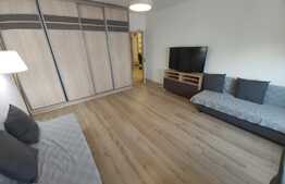 Apartament elegant cu o camera, Pet Friendly, 42 mp, zona Interservisan, Gheorgheni