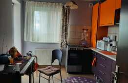 Apartament 2 camere 55 mp, Sanpetru