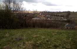 Teren intravilan 1682 mp, Feleacu